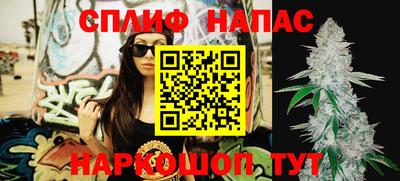 стафф Пугачёв