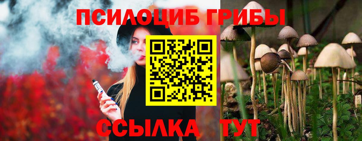 Пенза  Псилоцибиновые грибы ЛСД  Вход с VPN 